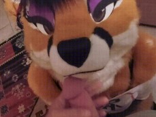 furry porn gif