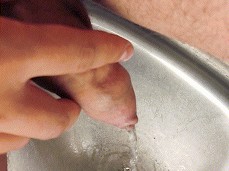 kitchen piss gif