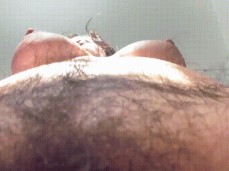 bush on face gif