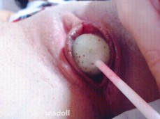 Lollipop Pussy Dip gif