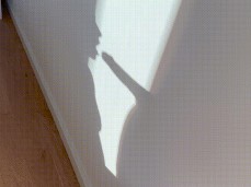 Shadow Blowjob (Sexy) gif