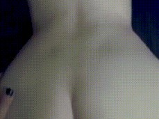 Doggy gif