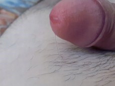 soft dick and precum drip gif