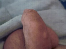 Show me your cock gif