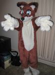 Fursuit Markus Hug.JPG