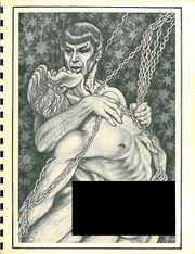 BLACKOUT on cover of the Star Trek: TOS zine, The Price and The Prize, as depicted on eBay, artist is Gayle F