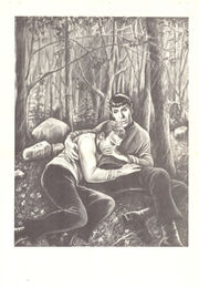 Kirk and Spock in a Pat Stall foldout, Starborne (1979)