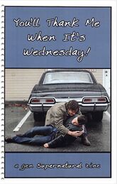 Sam and Dean in You'll Thank Me When It's Wednesday! (2008)