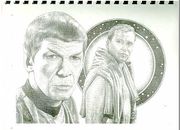 front cover of T'hy'la #14: "[The front and back covers] are lovely, accurate double portraits of Kirk and Spock with a circular design element in the background of each, which not only ties the figures together, but shows that the front and back covers are related, even though one is horizontal and the other is vertical. In each, one of the guys is giving the other a speculative glance. Fiona does an excellent job of relating the figure in the background to the one in the foreground -- not as easy a task as it may seem. Each figure is projecting a different attitude and mood, which adds to the special quality of these drawings. Fiona is a very talented artist, rendering her work in realistic detail. Her use of light and shadow in the faces and figures is expertly done. The folds in the clothing are given as much attention as the shadows on the faces or the highlights in the hair. One must be careful that this attention to detail does not work against the intent of the artist and weaken what she is trying to show. In particular, the wrinkles in Kirk's shirt and collar on the back almost compete for attention with his beautifully drawn face. I say "almost" because it is not as distracting in this illustration as it might be in less talented hands. Since we, as artists, are not cameras, we are not forced to show every detail as it appears in life or in the photos most of us use as reference material. We are free to make choices about what to emphasize and what to merely suggest. In all, these are wonderful covers and I look forward to seeing Fiona's future work." [4]