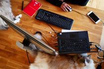 Télétravail avec des chats, en Vendée, avril 2021.