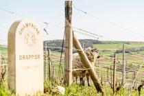 Le domaine Drappier a été l’un des premiers à réduire le taux de sulfite.