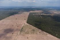 Vue aérienne des conséquences de la déforestation de la forêt de Gran Chaco du côté de la frontière argentine, le 6 octobre 2022.