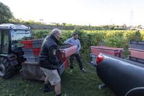 Vendanges sur le Domaine de la Source, vignoble de Bellet à Nice le 20 septembre 2024.