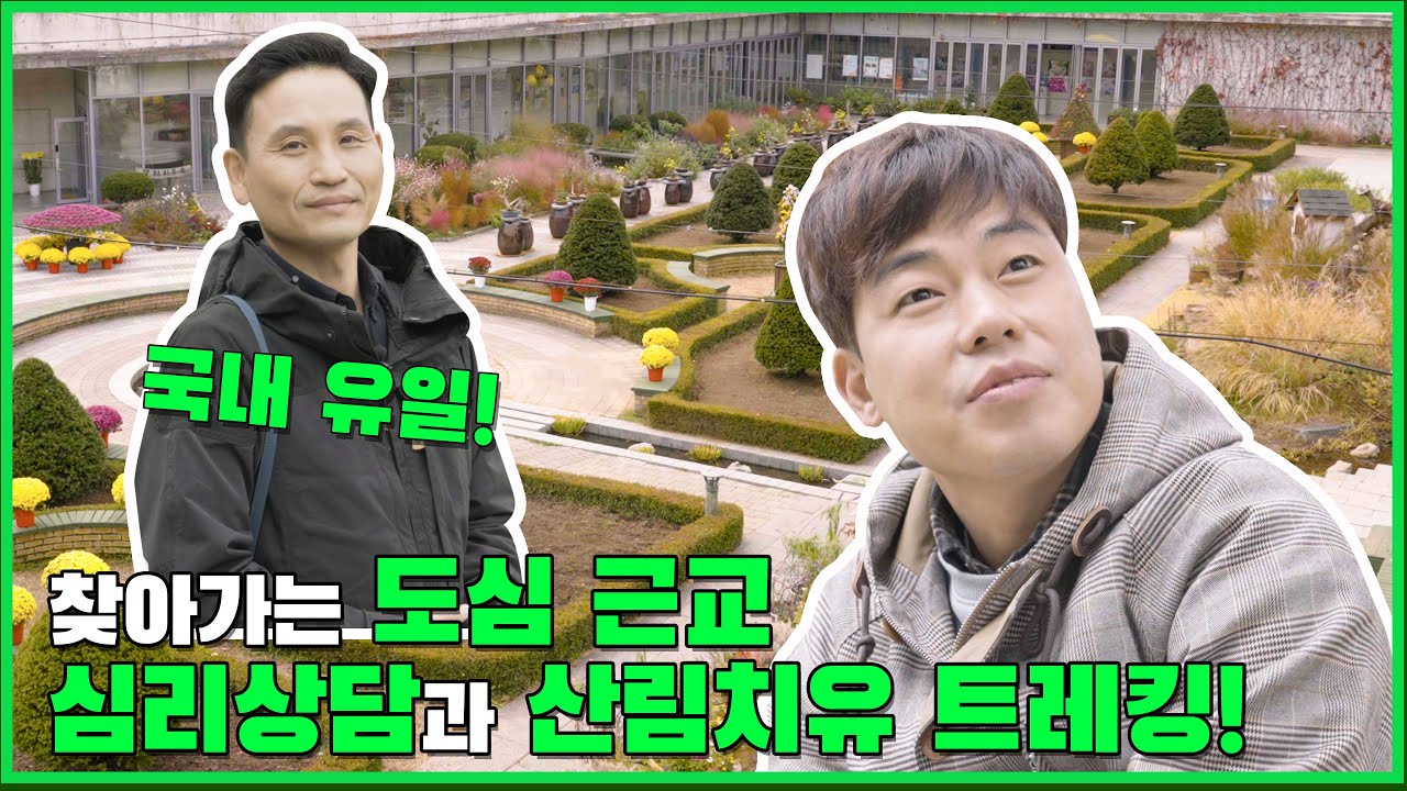 국내유일! 찾아가는 도심 근교 심리상담과 산림치유 트레킹!