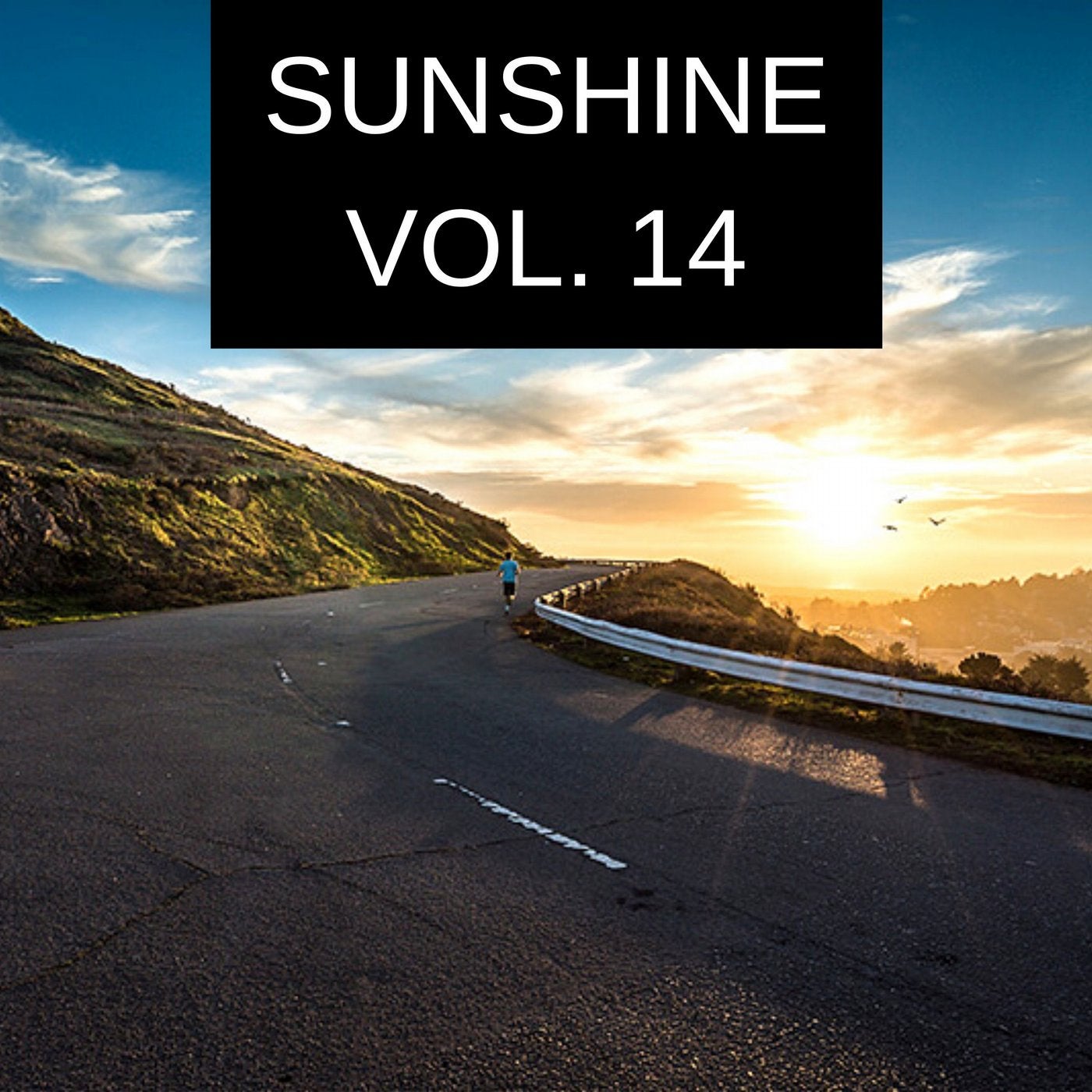 Sunshine Vol. 14