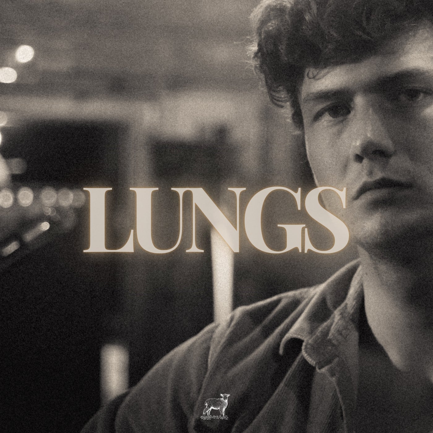 Lungs