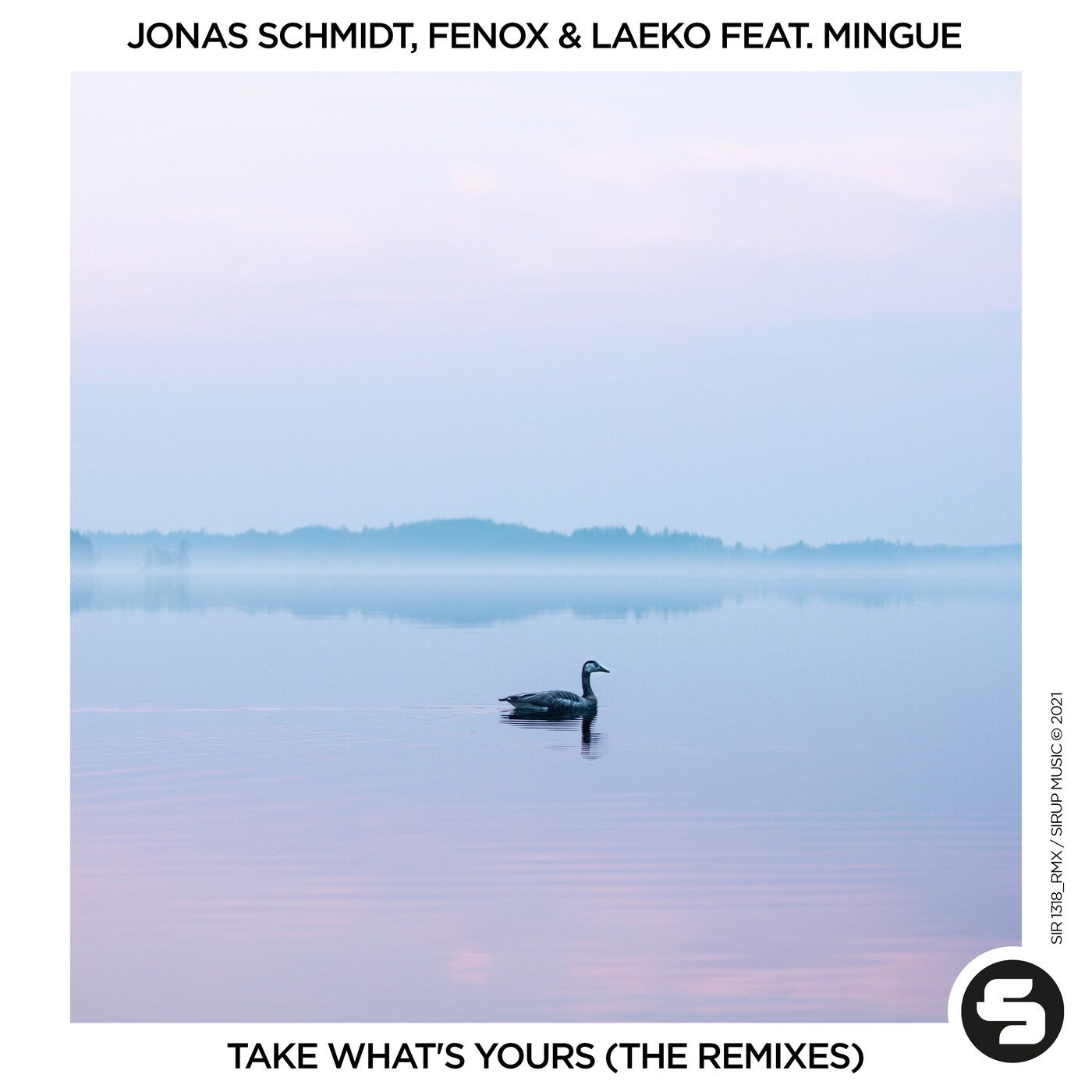 Take What's Yours (The Remixes)