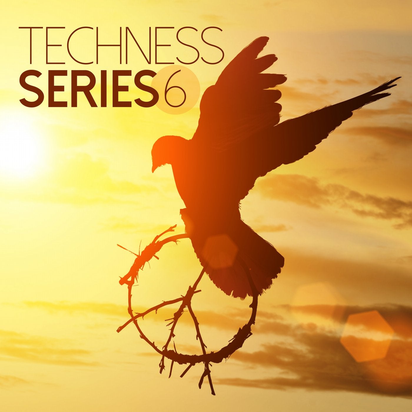 Techness Series 6