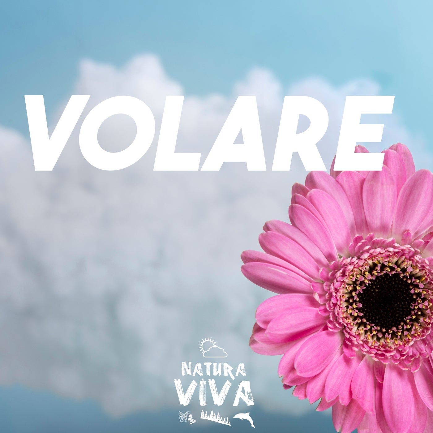 Volare