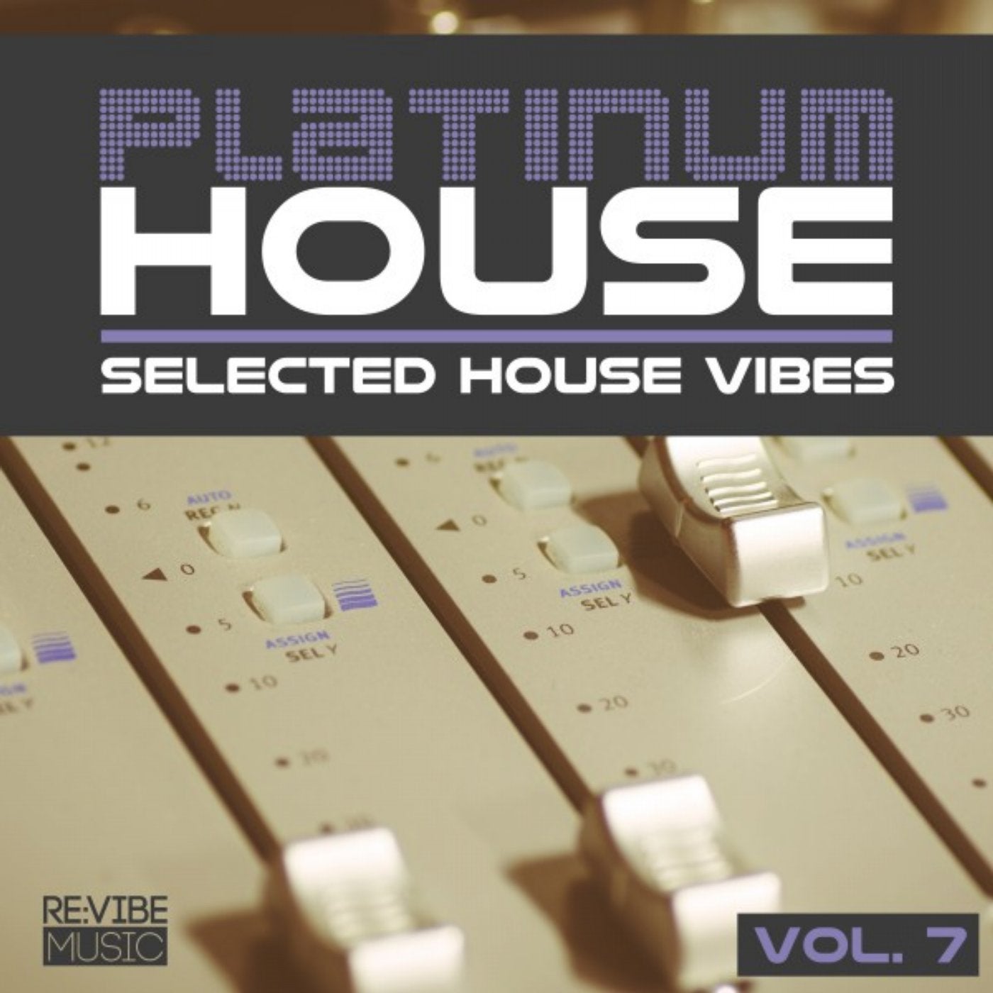 Platinum House - Selected House Vibes, Vol. 7