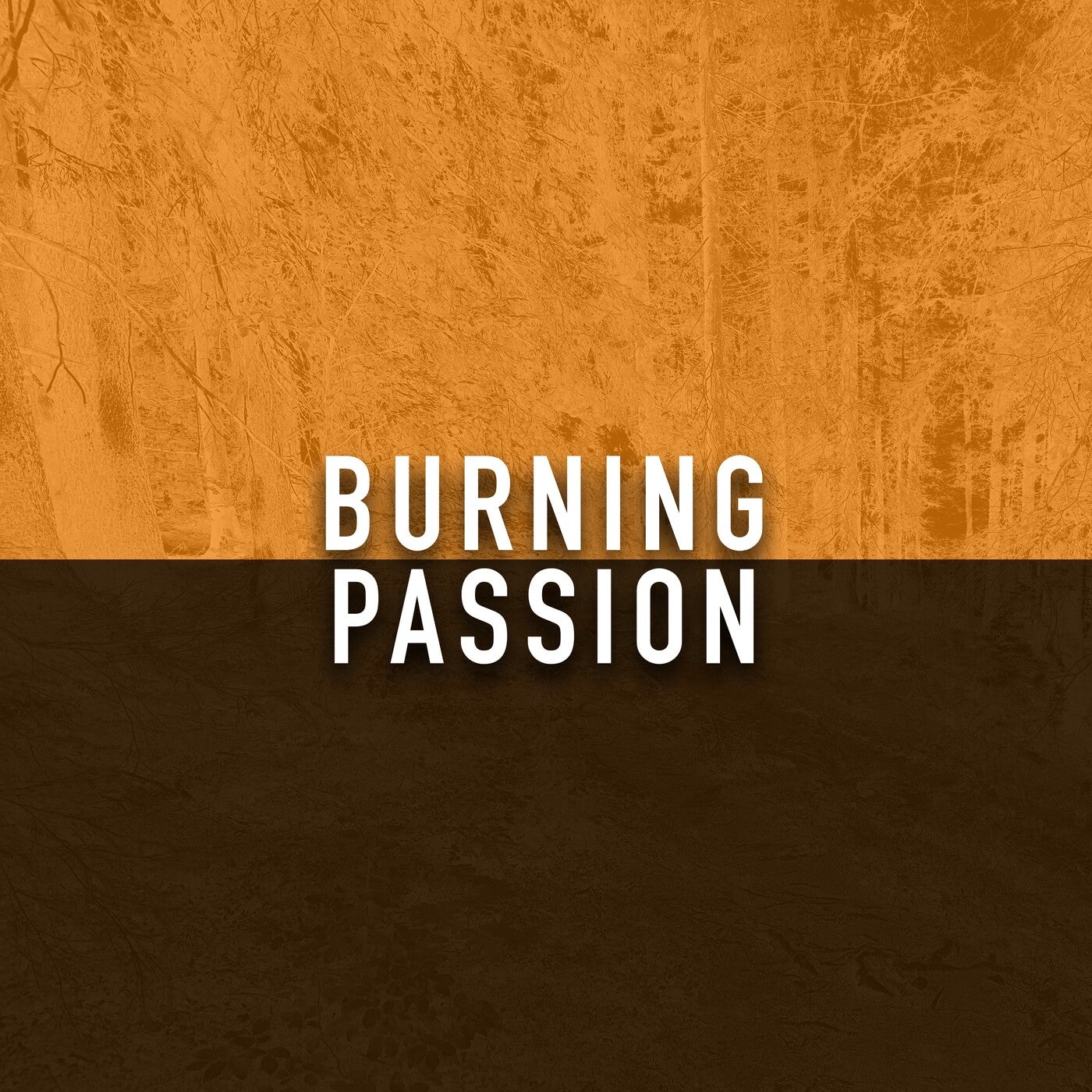 Burning Passion