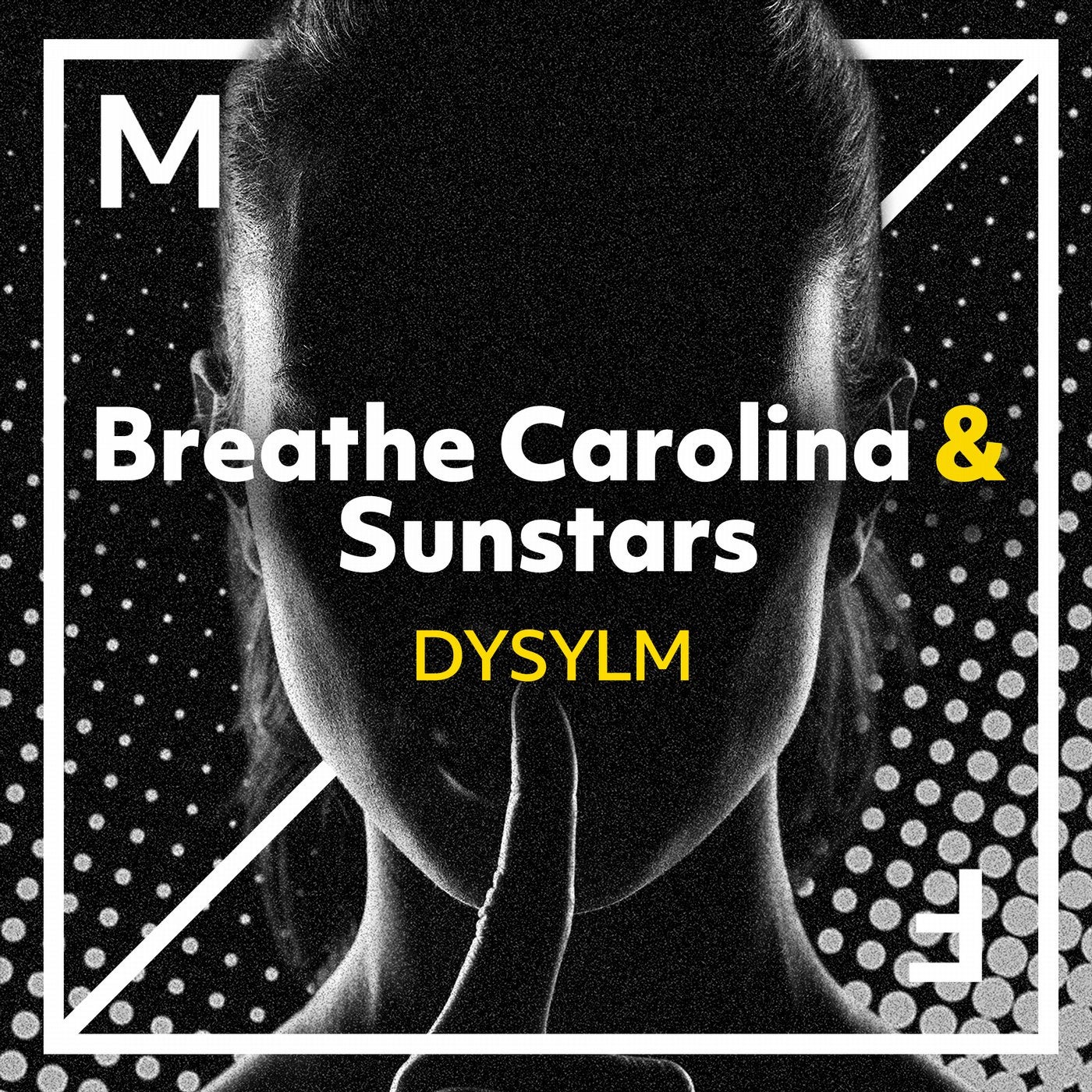 DYSYLM