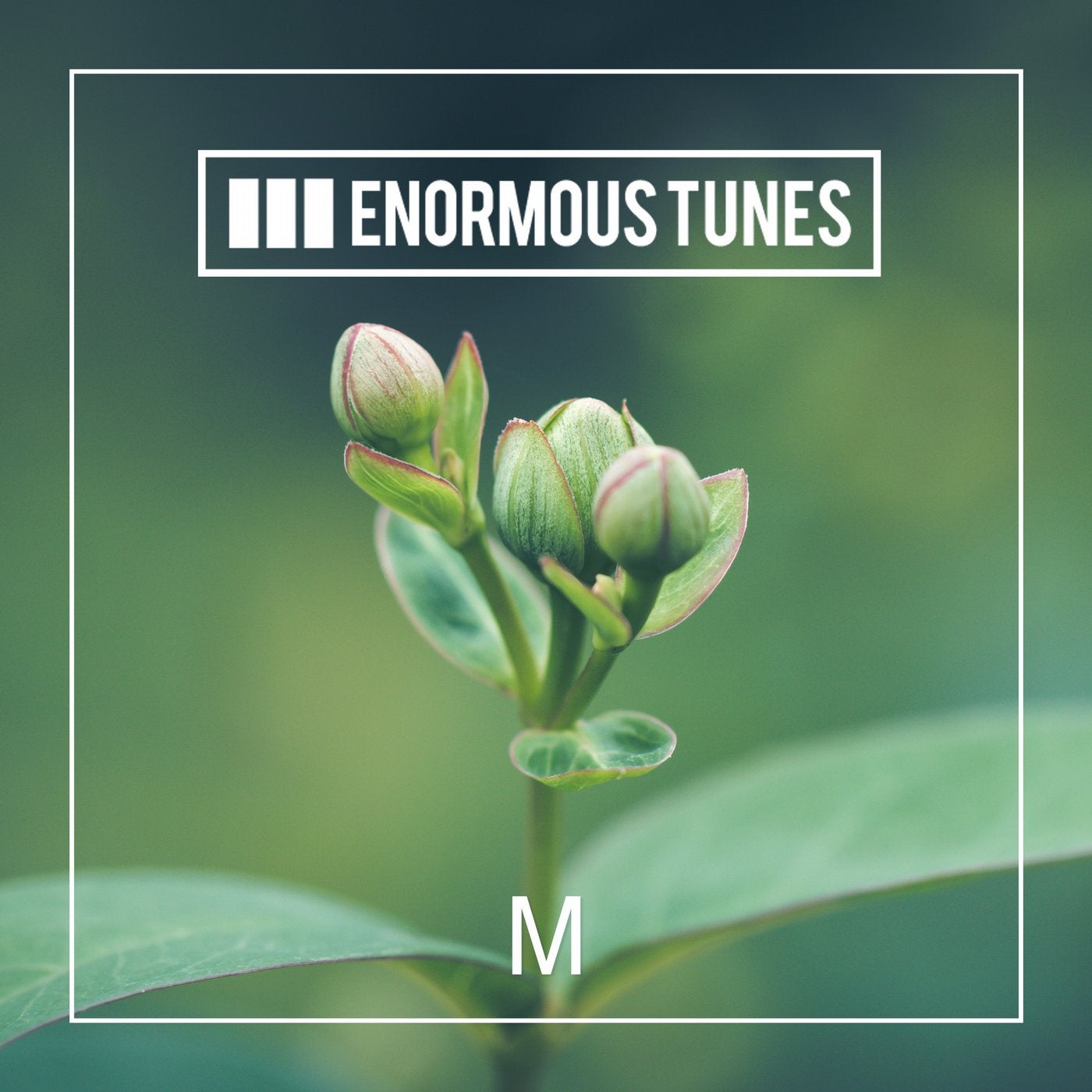 Enormous Tunes - 1000