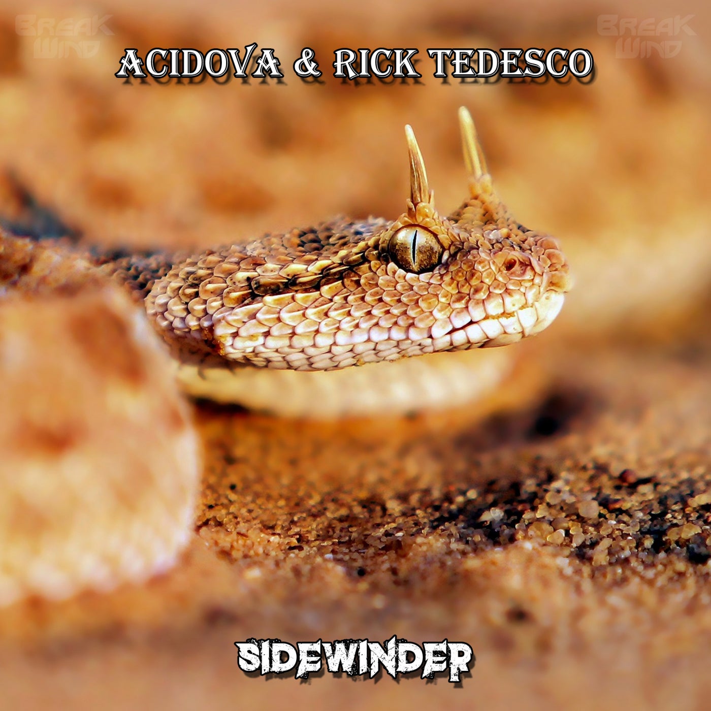 Sidewinder