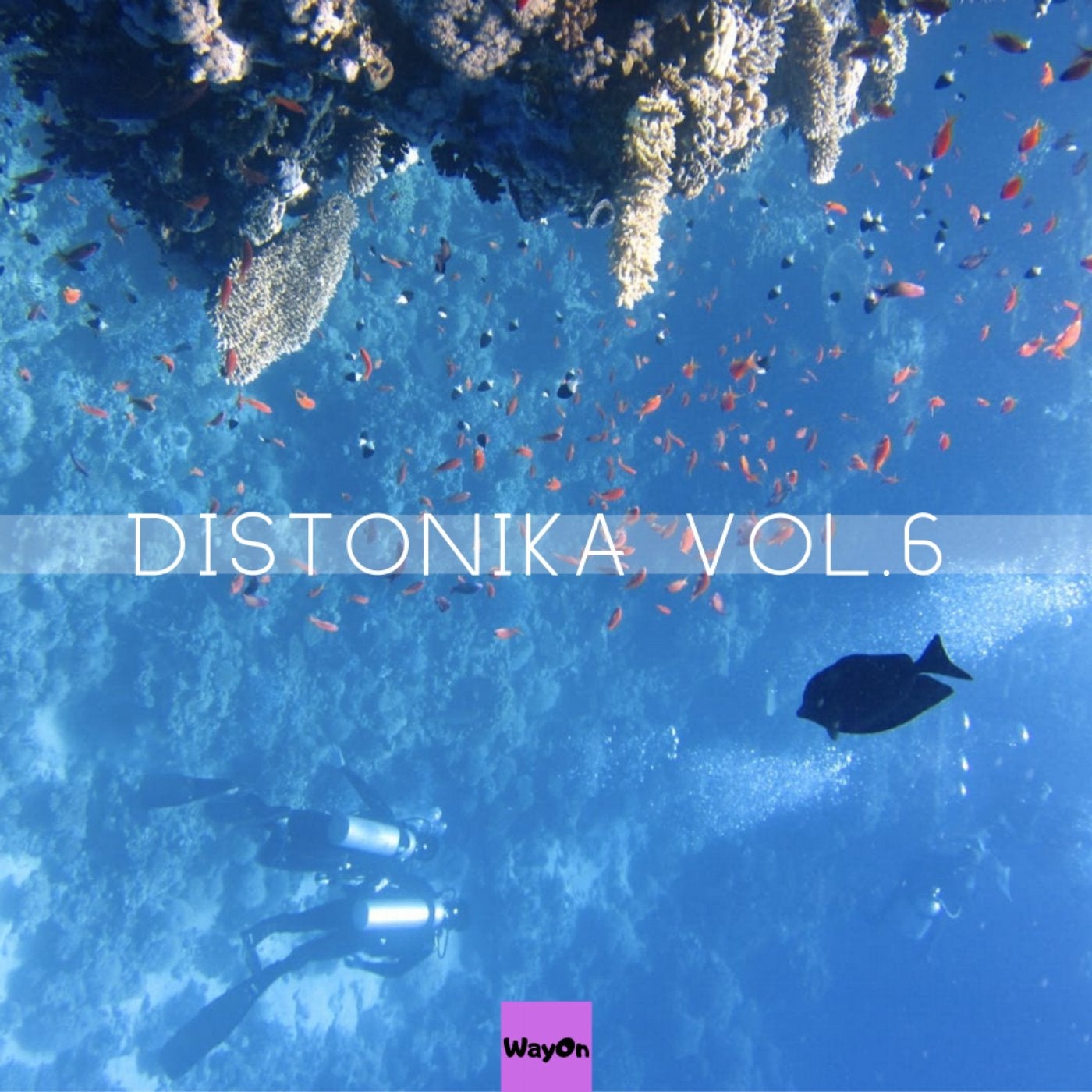 Distonika 6