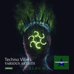 Techno Vibe's