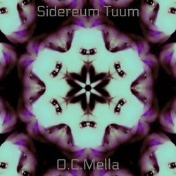 Sidereum Tuum