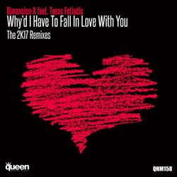 Why'd I Have to Fall in Love With You (The 2K17 Remixes)