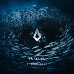 Purified Chronicles 2023