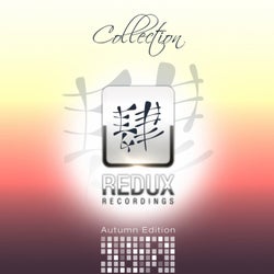 Redux Recordings Collection Autumn Edition 2014