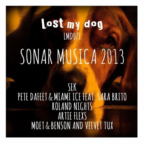 Sonar Musica 2013