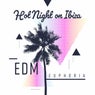 Hot Night on Ibiza: EDM Euphoria