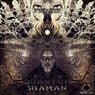 Quantum Shaman