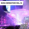 Suka Sensation, Vol. 13