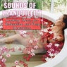 Sounds of Tranquillity: Soothing Music for Relaxation and Deep Meditation