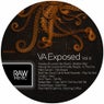 RAW Exposed Vol.6