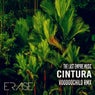 Cintura ( Voodoochild Rmx )