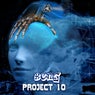 Project 10