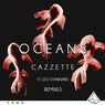 Oceans (feat. Leo Stannard)