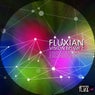 Fluxian Vision, Vol. 2