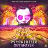 Psychedelic Destroyer