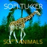 Soft Animals EP