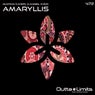 Amaryllis