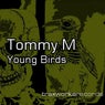 Young Birds