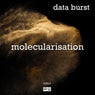 Molecularised