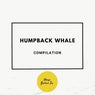 Humpback Whale